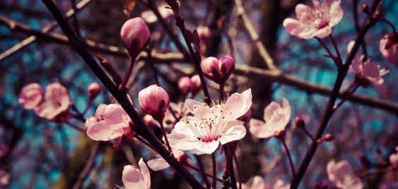 IT'S SPRING MAINTENANCE TIME April 2022